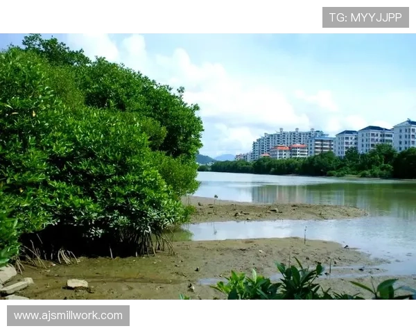 红树林娱乐：结合生态保护与娱乐休闲的创新项目，打造绿色旅游新热点